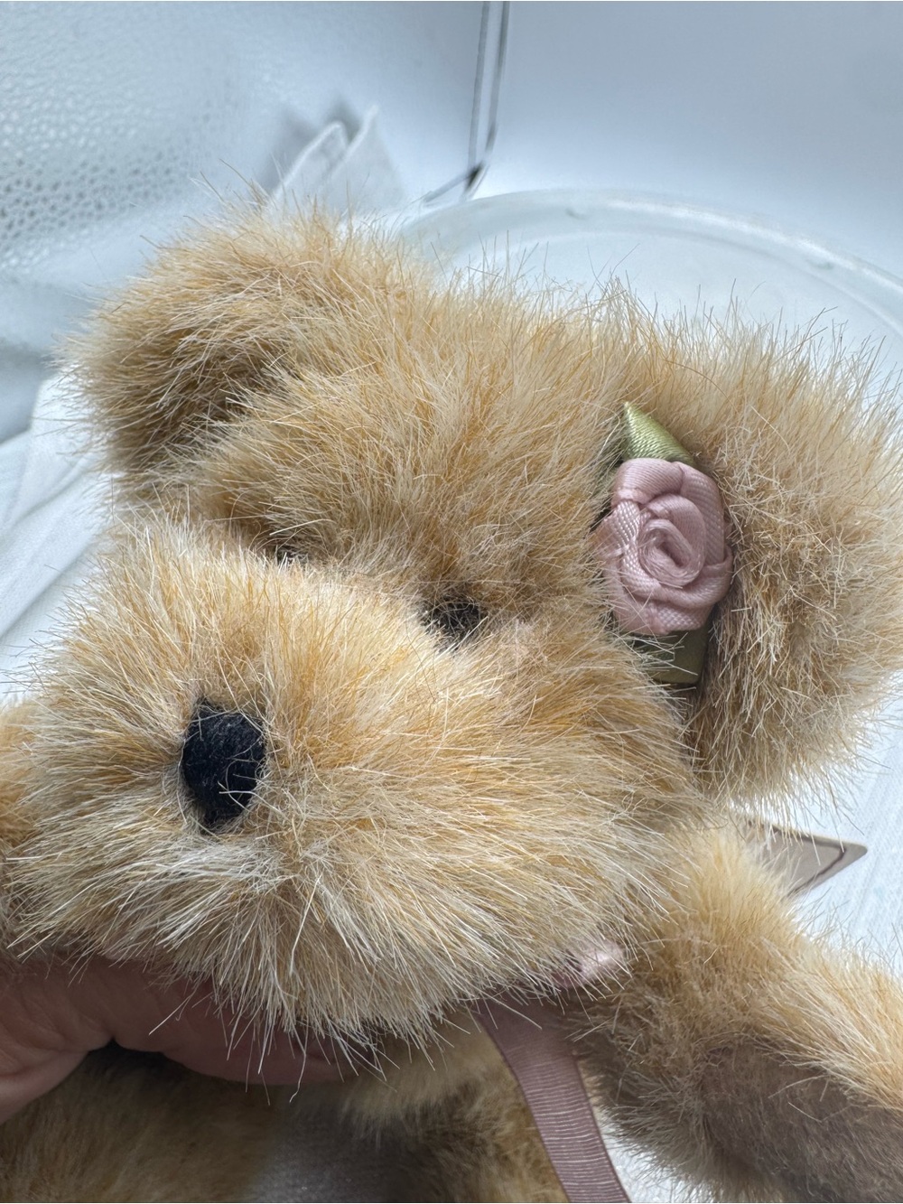 Boyds Bear Rosie 8” rosebud on her head iembroidered flowers on her feet bow NWT - Picture 7 of 11